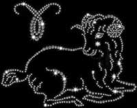 Aries Aries