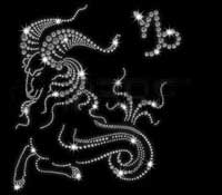 Capricorn Capricorn