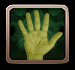 Palmistry