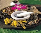 AYURVEDA CAREERS AYURVEDA CAREERS