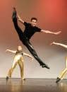 PERFORMING ARTS CAREER