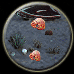 Cancer-Cancer Compatibility