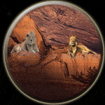 Leo-Leo Compatibility
