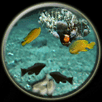 Pisces-Pisces Compatibility