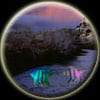 pisces