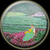 virgo