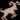 Weekly Aries Horoscope