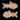 Weekly Pisces Horoscope