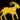Yearly Capricorn Horoscope