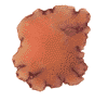 Datolite Birthstone