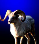 aries lucky stone
