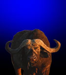 BIRTH STONE TAURUS