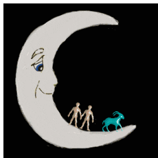 moon sign compatibility gemini capricorn