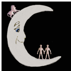 moon sign compatibility leo geminiries
