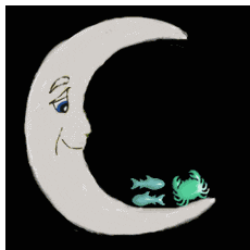 moon sign compatibility pisces