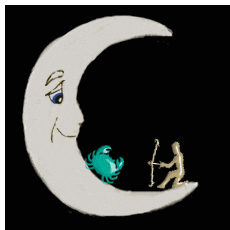 moon sign compatibility sagittarius cancer