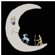 moon sign compatibility sagittarius capricorn