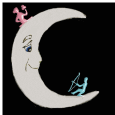 moon sign compatibility sagittarius virgo