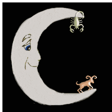 Scorpio And Aries
