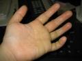 Palmistry violence