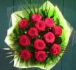 valentine roses