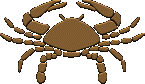 cancer astrology
