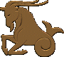 zodiac sign  Capricorn