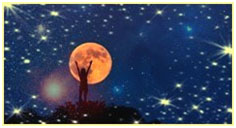 12zodiacsign2