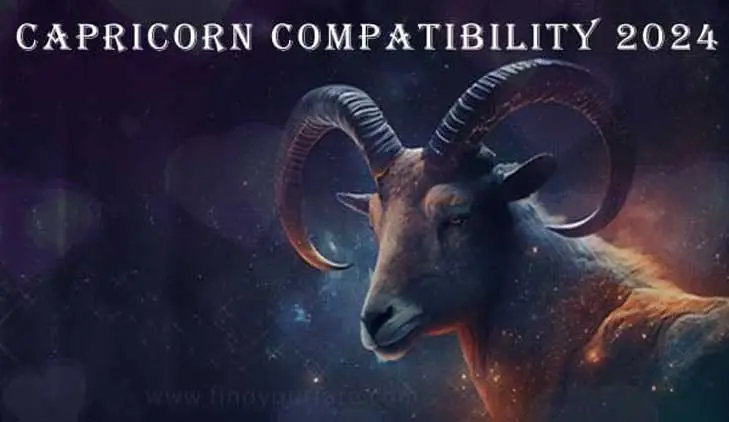 capricorncomaptibility2024