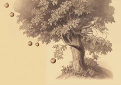 Pesanteur