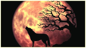 Wolf Moon