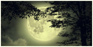 Black Moon