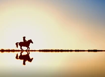 Réflexion