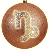 Capricorn on Christmas