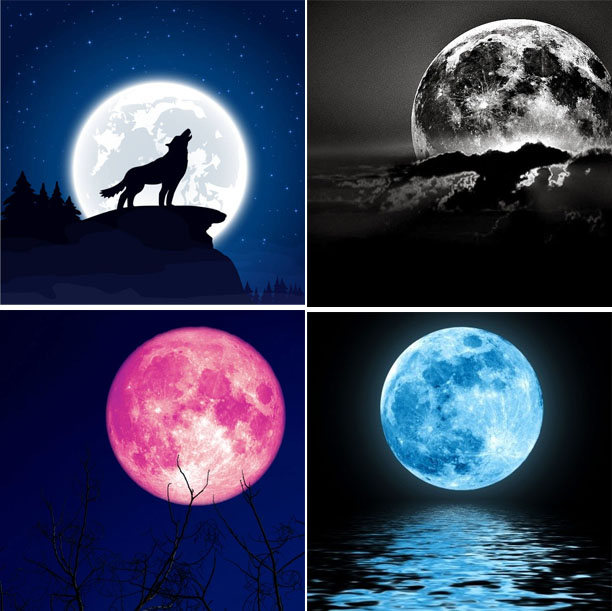 Thumbnail Image for Wolf Moon, Black Moon, Blue Moon, Pink Moon en betekenis