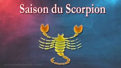 Thumbnail Image for Cest la saison du Scorpion - Quand les passions sont a leur comble...