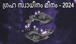 Thumbnail Image for 2024 മീനരാശിയിലെ ഗ്രഹ സ്വാധീനം