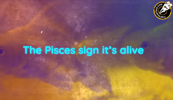 Thumbnail Image for The Pisces sign it's alive - Official Music Video with Lyrics