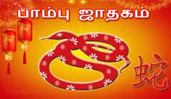 Thumbnail Image for பாம்பு சீன ஜாதகம் 2024