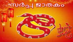 Thumbnail Image for പാമ്പ് ചൈനീസ് ജാതകം 2024