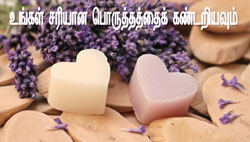Thumbnail Image for பிறந்த மாதத்தின்படி உங்கள் சரியான பொருத்தம்
