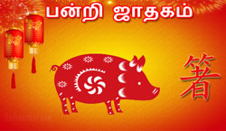 Thumbnail Image for பன்றி சீன ஜாதகம் 2024