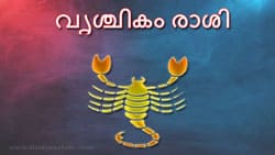 Thumbnail Image for അതിന്റെ വൃശ്ചികകാലം - വികാരങ്ങൾ ഉയർന്നപ്പോൾ...