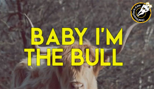 Thumbnail Image for Baby I'm the Bull - Official Music Video with Lyrics