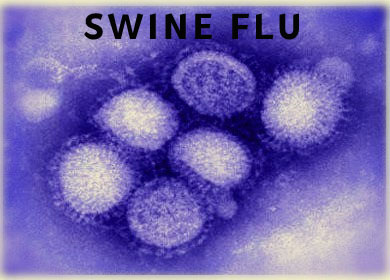 Thumbnail Image for Mysteries behind the Swine Flu - A H1N1 Virus