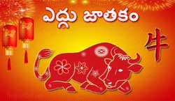 Thumbnail Image for ఆక్స్ చైనీస్ జాతకం 2024