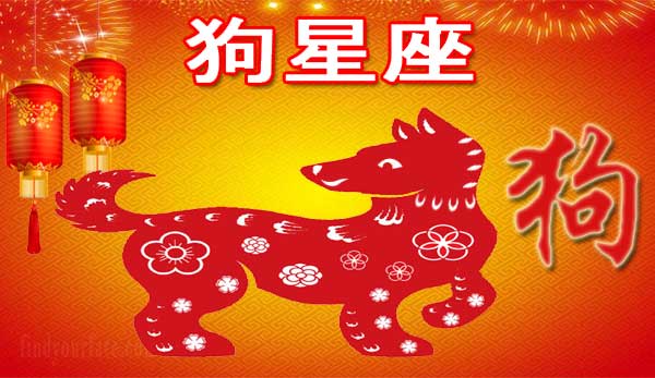 Thumbnail Image for 2024年属狗的中国星座运势