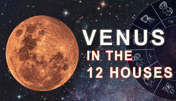 Thumbnail Image for 12室の金星