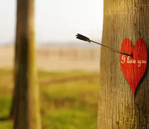 Thumbnail Image for Best Zodiac Matches for Long-Term Relationships (According to Vedic Astrology)