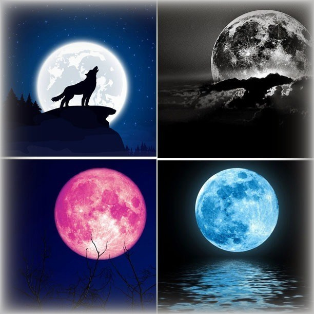 Thumbnail Image for Lua do Lobo, Lua Negra, Lua Azul, Lua Rosa e significado